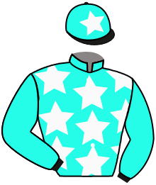 Casaque de LUKE SKYWALKER