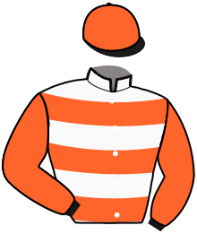 Casaque de JUST PARTY DU FIEF