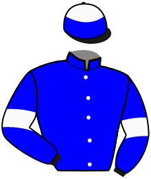 Casaque de NOBEL STEEL