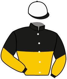 Casaque de GENIALISSIME