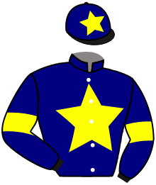 Casaque de VICOMT DE BELLOUET