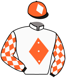 Casaque de TWENTY SEVEN JET