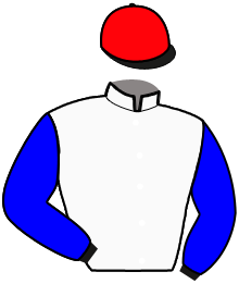 Casaque de HELIOS DES RACQUES