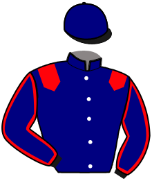 Casaque de NEW ROGER