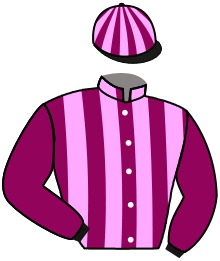 Casaque de EXCELSIOR