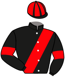 Casaque de IPSOS DE BANVILLE