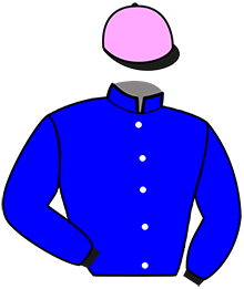 Casaque de KOUGAR DE SIMM