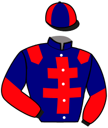 Casaque de MY DESTINY QUEEN