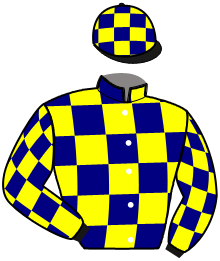 Casaque de JUST THE GREEN