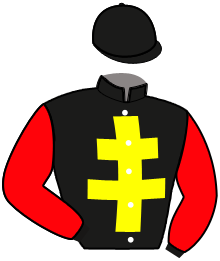 Casaque de ICARIOS GEMINI