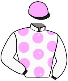 Casaque de HIGH FIRE DAIRPET