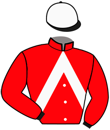 Casaque de MAJESTE DE JANZE