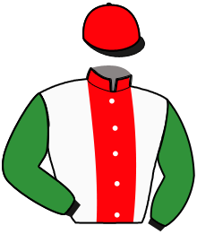 Casaque de NO LIMIT SAUTREUIL