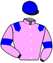 Casaque de MILLESIME D'ARZAL