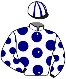 Casaque de KARTING DU VIVIER