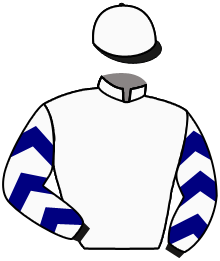 Casaque de SOUTH BAY