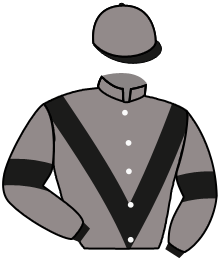 Casaque de MAKING WAVES