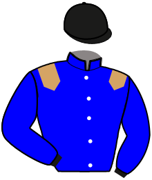 Casaque de NIRVANA BLUE