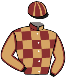 Casaque de LESLEY ARCTIC