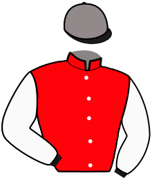 Casaque de MAJOR PRIOR