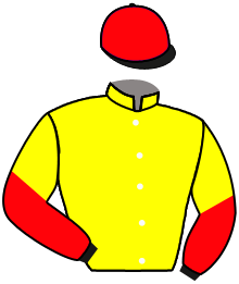 Casaque de MASTER LIGHT