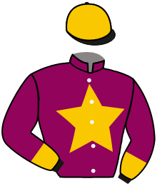 Casaque de BEST SIXTEEN