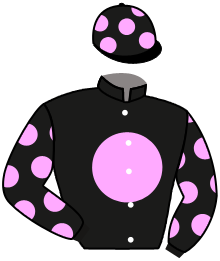 Casaque de MOISES HAS A BOAT