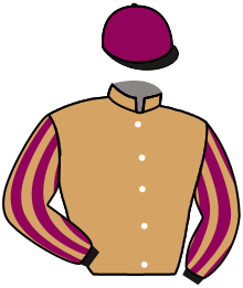 Casaque de MAESTRANTE