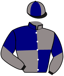 Casaque de LOOPING DE CAPONET