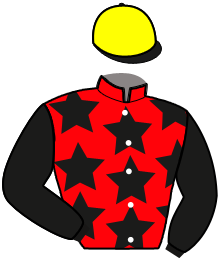 Casaque de JOSS D'ATTAQUE