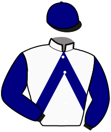 Casaque de JUDICIOUS DAYDREAM