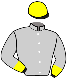 Casaque de ERNESTO ROC