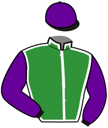 Casaque de JUST A WINNER