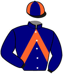 Casaque de LEADER DU SAPHIR