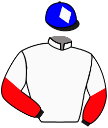 Casaque de GRAND SCOOP