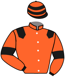 Casaque de KING MOTIF