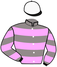 Casaque de NICE ATOUT