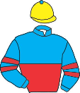 Casaque de SPECIAL HORSE