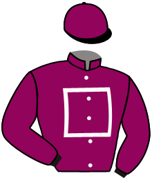 Casaque de NELSON DREAM