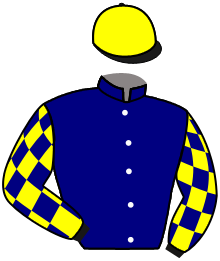 Casaque de SIMPLY GAME