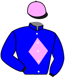 Casaque de SILVAROLE FAL