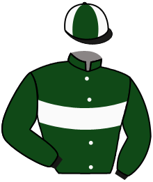 Casaque de KING DES VIGNAUX