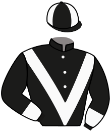 Casaque de LOST IN MUSIC