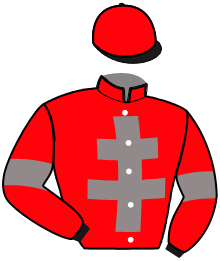 Casaque de JUST A SONG