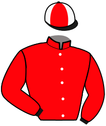 Casaque de LION SUR MER