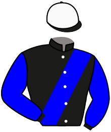 Casaque de FIRE UP THE JETS