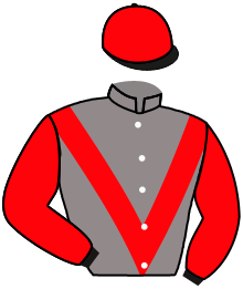 Casaque de MAGIC FULIP