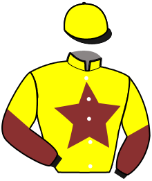 Casaque de JOYAU WINNER