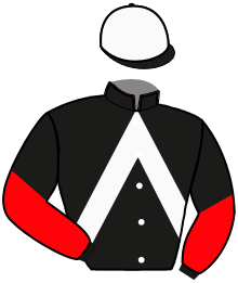 Casaque de POWER DOC