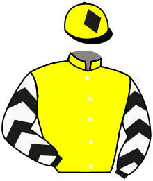 Casaque de TOP MAKER